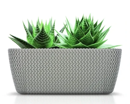 doniczka-dluga-prosperplast-spolofy-case-prezentacja-z-roslina