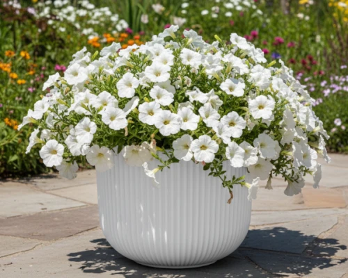 doniczka-okragla-milly-35-cm-biala-prosperplast-aranzacja-w-ogrodzie