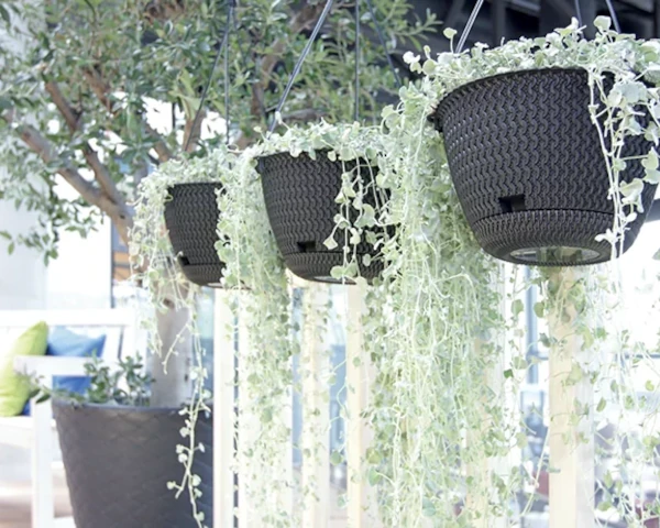 prosperplast splofy round doniczka wiszaca 23 cm prezentacja na zewnatrz