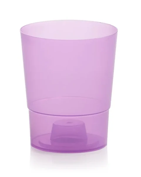oslonka do storczyka fioletowa przezroczysta 12,5 cm prosperplast coubi orchid