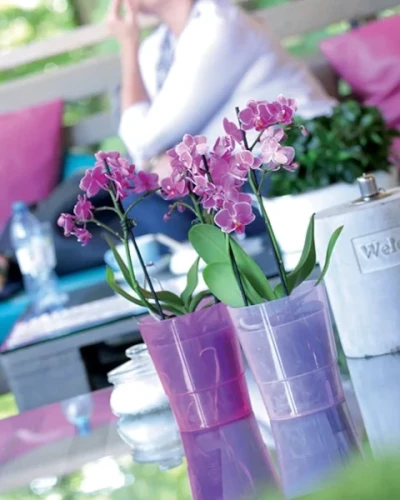 doniczki do stroczykow 12,5 cm prosperplast coubi orchid aranzacja z roslinami