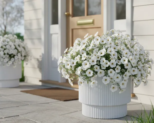 doniczka-okragla-30cm-biala-prosperplast-milly-aranzacja-przed-wejsciem