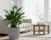 doniczka-okragla-30-cm-szara-prosperplast-milly-aranzacja-w-salonie