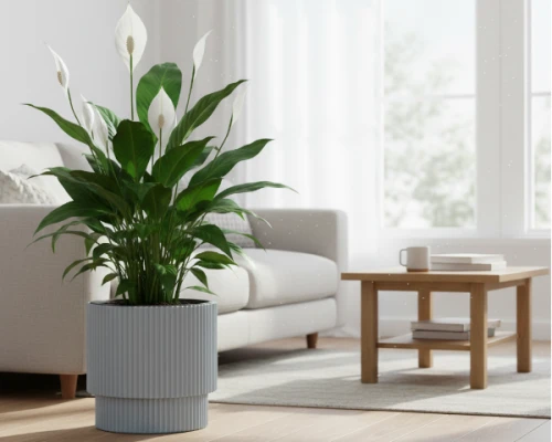 doniczka-okragla-30-cm-szara-prosperplast-milly-aranzacja-w-salonie