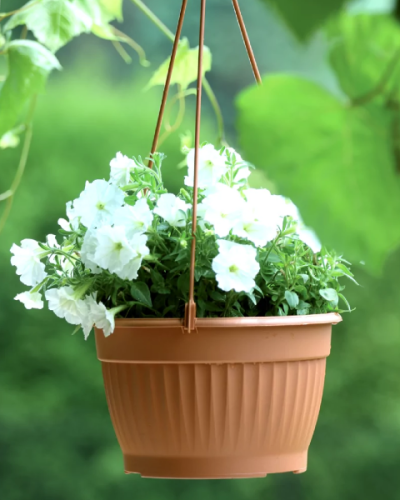 terra wisząca aranżacja