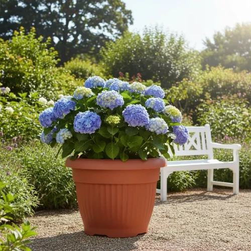 duza doniczka okragla 64cm prosperplast terra - prezentacja w ogrodzie