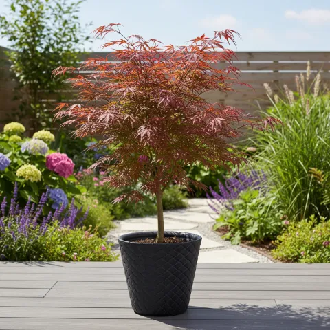 Antracytowa donica ogrodowa Matuba we wzór plecionki-prezentacja na tarasie