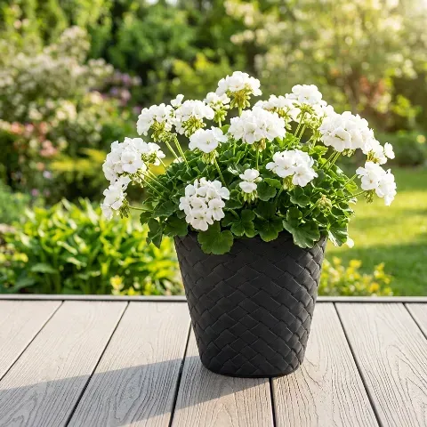 Doniczka mrozoodporna Matuba 30cm w kolorze antracytowym - prezentacja na tarasie