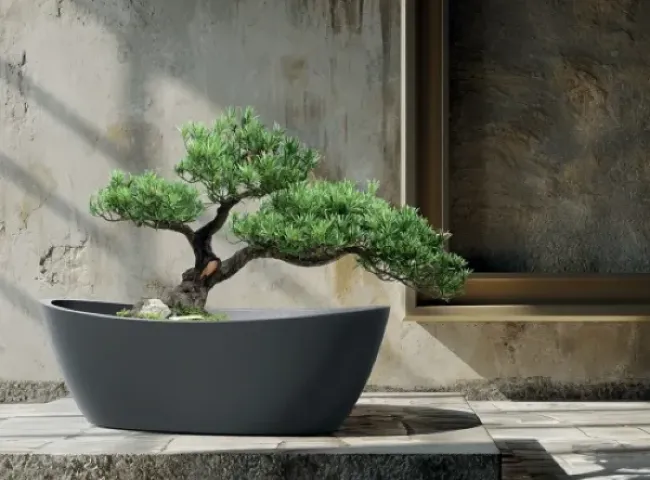 donica owalna Aria aranżacja z drzewkiem bonsai