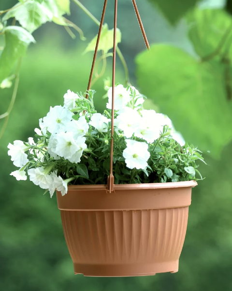 terra wisząca aranżacja