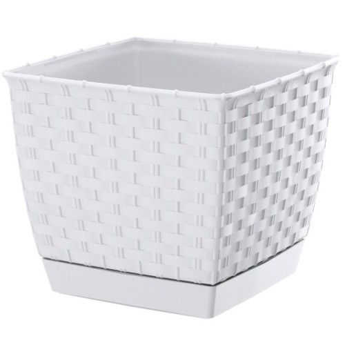 DRLK_S449 RATOLLA.jpg