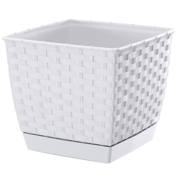 DRLK_S449 RATOLLA.jpg