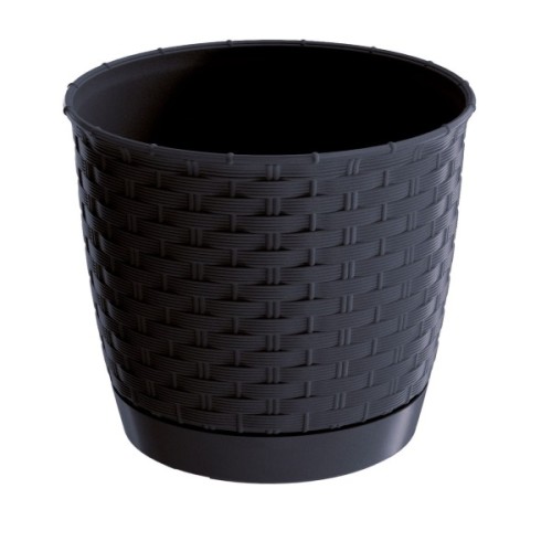 DRLO_S433 RATOLLA.jpg