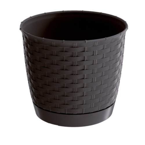 DRLO_440U RATOLLA.jpg