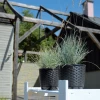 doniczka-ratolla-round-aranz1.webp