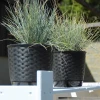 doniczka-ratolla-round.webp