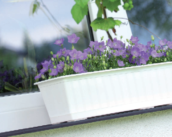 skrzynka balkonowa prosperplast agro aranzacja