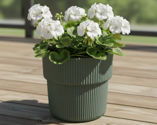 Zielona donica Milly 30 cm na tarasie z białymi pelargoniami - ozdobna doniczka Prosperplast w STAMATS