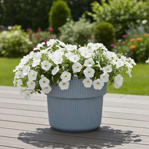 Szara-donica-Milly-40cm-na-tarasie-nowoczesna-doniczka-Prosperplast