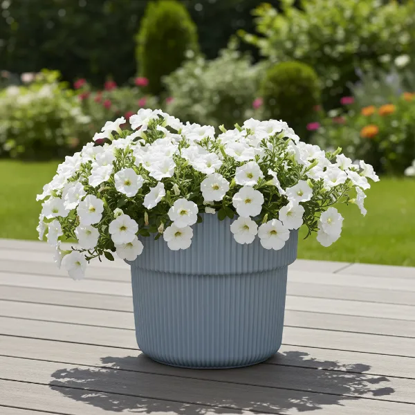 Szara-donica-Milly-40cm-na-tarasie-nowoczesna-doniczka-Prosperplast