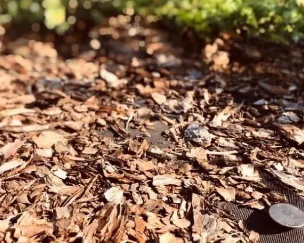 tkanina-do-ogrodu-agrowloknina-przyklad-zastosowania