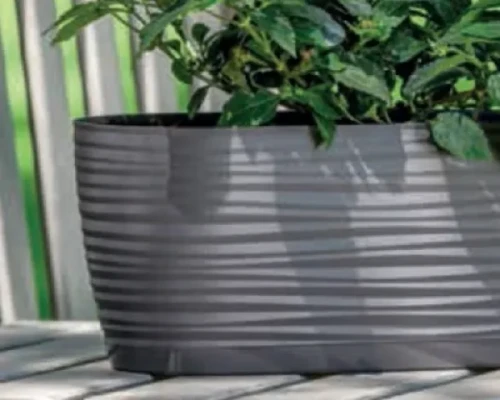 Ciemna doniczka owalna Sahara Petit z rośliną, ustawiona na stole