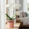 Doniczka różowa Tree 18cm stoi na parapecie w sypialni