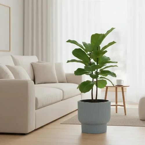 Donica Milly Prosperplast 40 cm szara w nowoczesnym salonie. W donicy rośnie fikus.