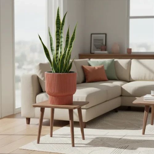 Miedziana donica Milly 30 cm w salonie. Prążkowana doniczka w kolorze miedzi z sansewierią.