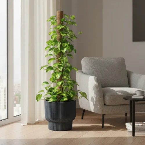 Antracytowa donica Milly 30 cm w salonie. Prążkowana doniczka z epipremnum.