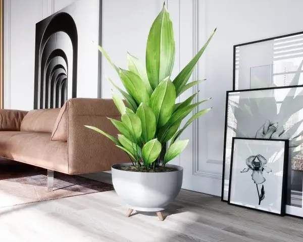 Nowoczesna donica na nóżkach z zieloną rośliną ustawiona w jasnym salonie na podłodze obok wygodnej kanapy