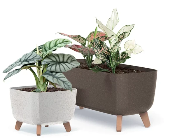 Donice ozdobne prosperplast gracia eco wood zaprezentowane razem z roslinami.
