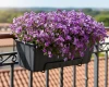 Antracytowa skrzynka balkonowa Agro 40 cm z posadzonym żagwinem wisi na balustradzie.
