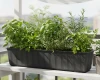 Antracytowa skrzynka balkonowa Agro 60 cm z posadzonymi ziołami stoi na balkonie