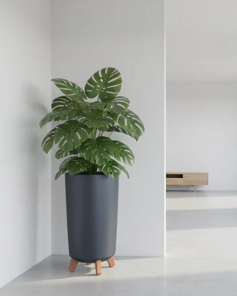 donica wysoka prosperplast gracia slim antracytowa prezentacja w salonie z roslina