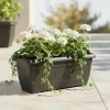 Klasyczna podłużna donica Terra Prosperplast 60cm w kolorze antracytowym. Aranżacja z pelargoniami i bluszczem.