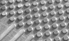 zdjecie-warning-studs-k1.png