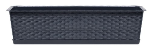 ISRP_S433 RATOLLA.jpg