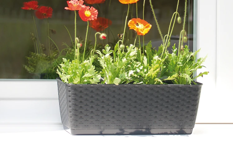 Doniczka długa z podstawką antracyt 39 cm Ratolla P - 4