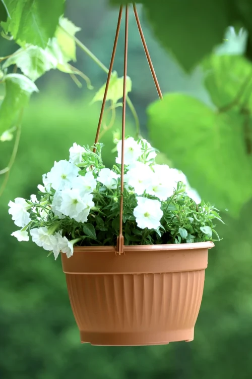 terra wisząca aranżacja