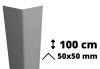 NarożnikKątownik PVC AcroMat 100 cm 50x50 mm