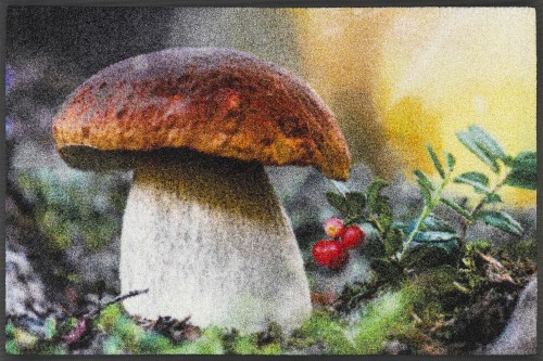 Dywan z leśnym motywem Grzyb 75 x 50 cm