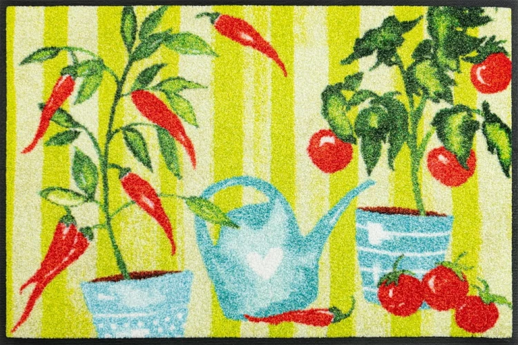 wycieraczka-do-butow-orgrod-stamats