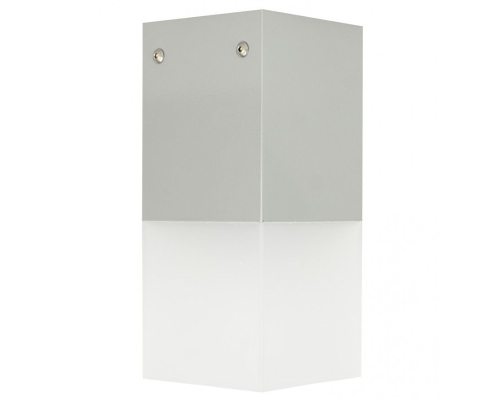 Lampa ogrodowa na sufit srebrna CB-MAX S AL