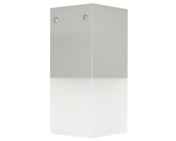Lampa ogrodowa na sufit srebrna CB-MAX S AL
