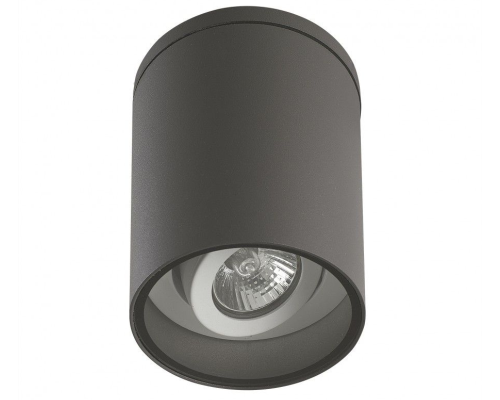 Oprawa sufitowa z regulacją kąta padania światła ciemny popiel Adela 7004 DG