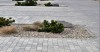 Kostka brukowa Melanż Bez Fazy 10,8 m² gr. 6 cm