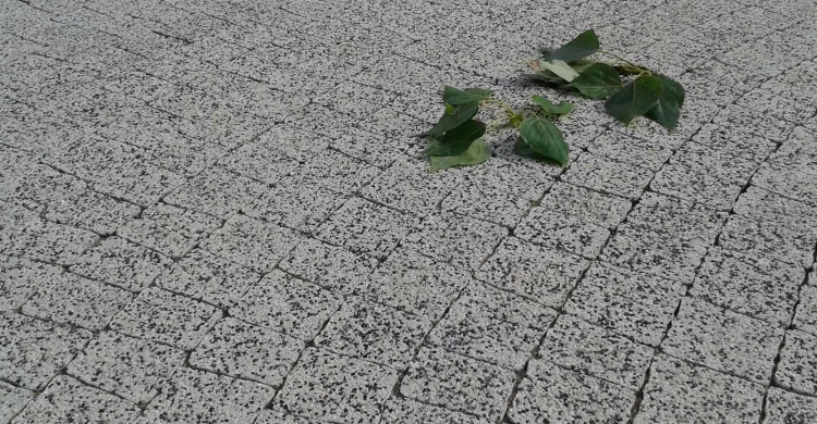 Kostka brukowa płukanka 8,9 m² gr. 6 cm granit mały