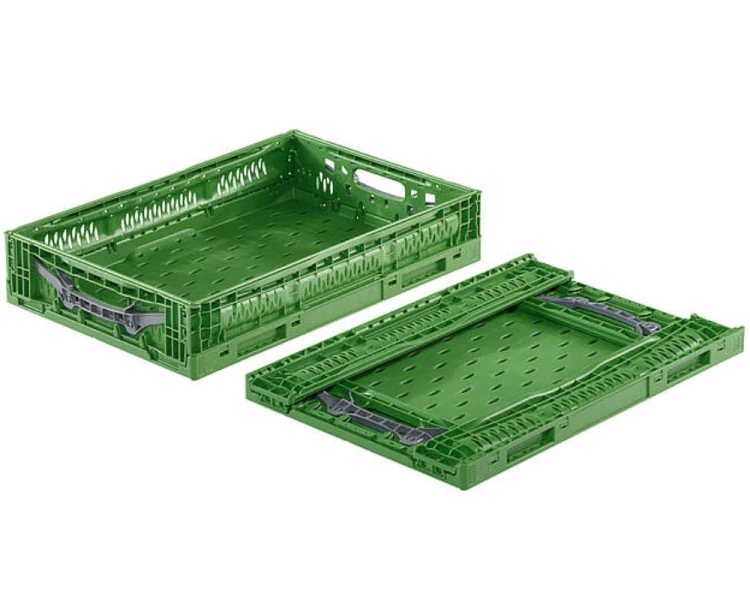 Składany pojemnik do żywności EURO 60x40x12 cm zielony Fresh-Box advance
