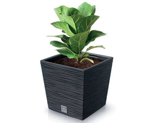 Doniczka kwadratowa z wkladem  19 l  Furu Square aranzacja z roslina